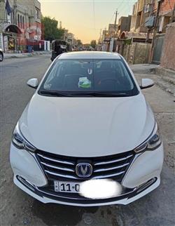 چانگان ئەلسڤین